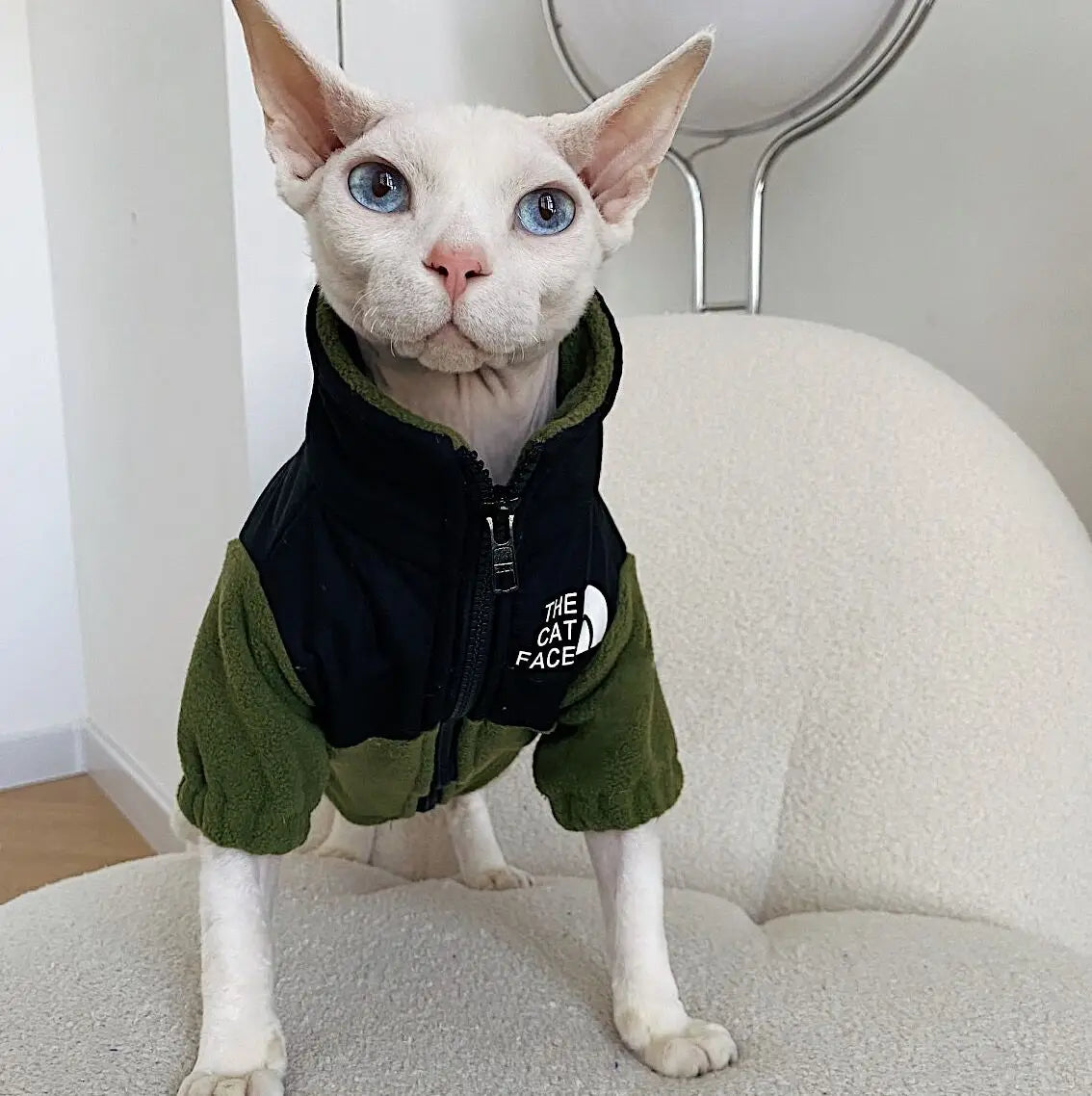 Luxury Winter Undershirt for Sphynx Cat Reflective Pet Clothes Reflective Pet Clothes Cat Jacket Devon Rex Sweatshirt in Autumn