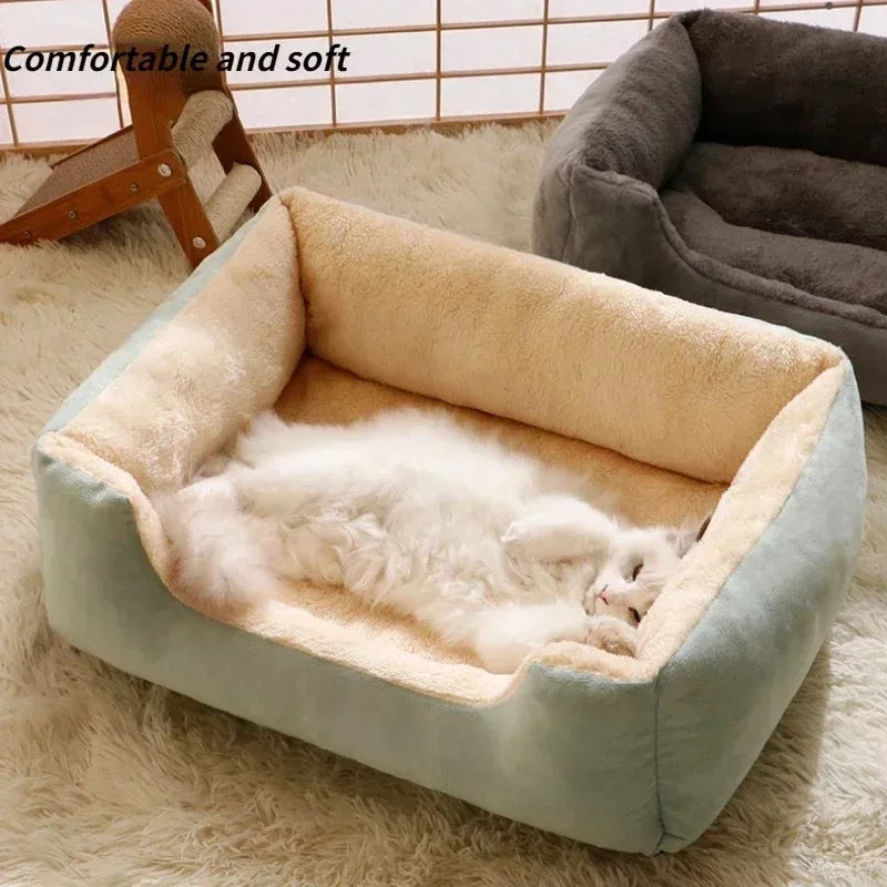 Cats Bed Dog Mat Beds Goods Pet Puppy Accessories All Products Kitten Cushions Things Accessory Houses Habitats House Supplies