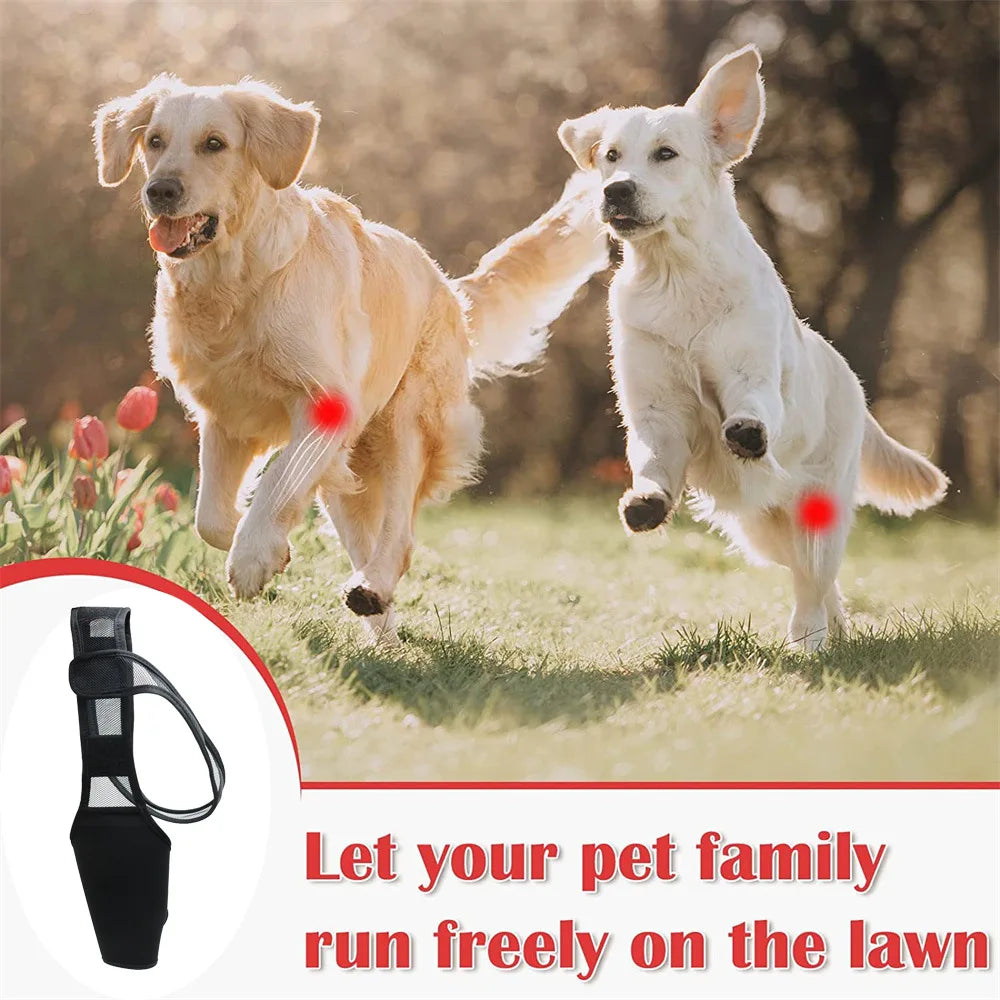 Pet Dog Knee Brace For Joint Pain Muscle Sore Leg Brace Rear Leg Bracer Support For Elderly Disabled Injured Dogs