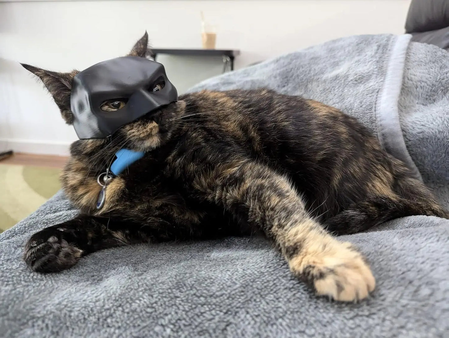 TONG New 5 Sizes Cat Bat Cool Man Mask Cat Avenger Mask Cute Bat Mask Pet Superhero Hat Cat Bat Cool Man Mask for Cat and Dogs