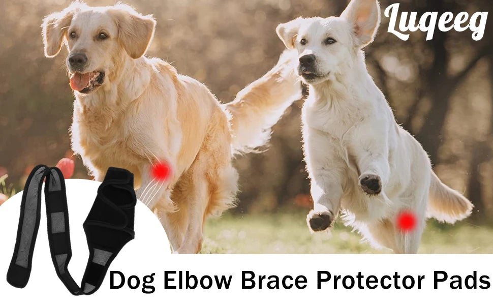 Pet Dog Knee Brace For Joint Pain Muscle Sore Leg Brace Rear Leg Bracer Support For Elderly Disabled Injured Dogs