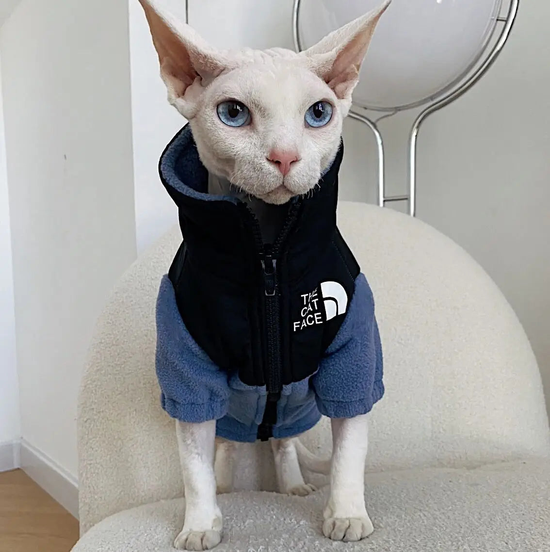 Luxury Winter Undershirt for Sphynx Cat Reflective Pet Clothes Reflective Pet Clothes Cat Jacket Devon Rex Sweatshirt in Autumn