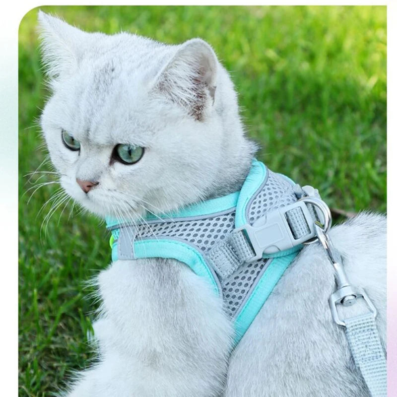 Cat Harness Leash Set Adjustable Dog Cat Collar for French Bulldog Harness Vest Puppy Chihuahua Pet Outdoor Walking Lead Leash