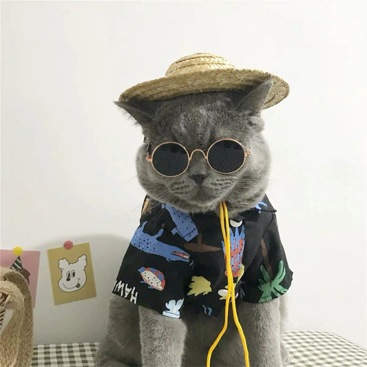 Vintage Round Cat Sunglasses Reflection Eyewear Glasses Pet Products for Dog Kitten Dog Cat Accessories for Small Dogs