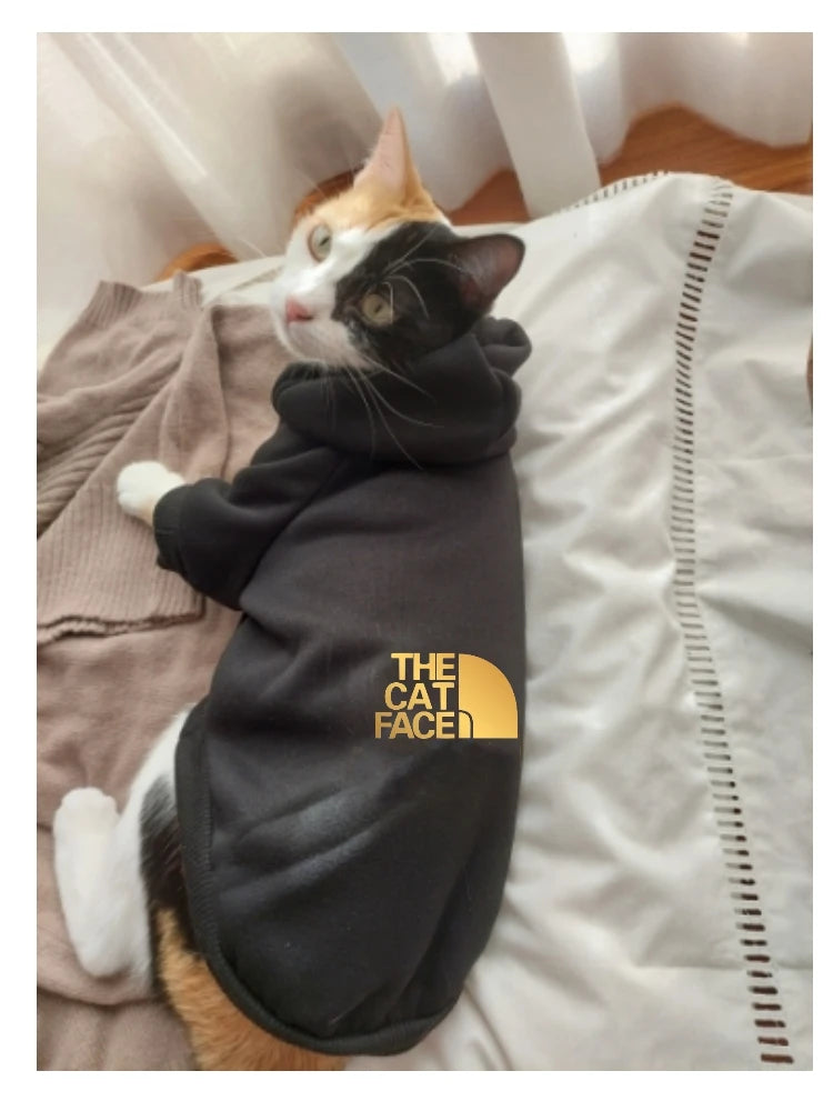 cat fashion cool clothe hoodie cats outfits puppy kitty golden letter printed hoodies accesorios kitten clothes jumper designer