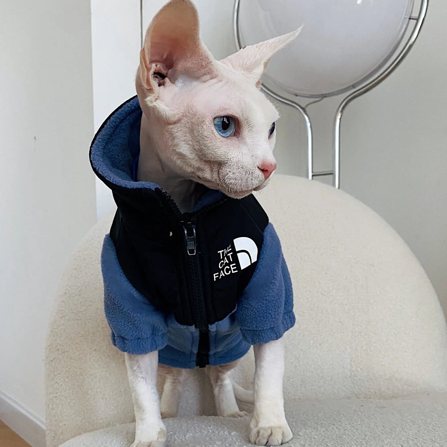 Luxury Winter Undershirt for Sphynx Cat Reflective Pet Clothes Reflective Pet Clothes Cat Jacket Devon Rex Sweatshirt in Autumn