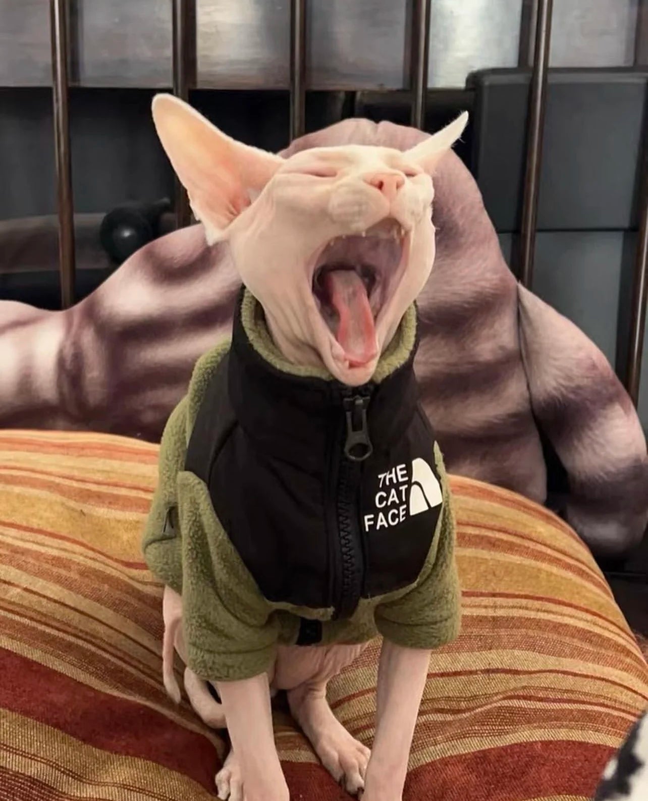 Luxury Winter Undershirt for Sphynx Cat Reflective Pet Clothes Reflective Pet Clothes Cat Jacket Devon Rex Sweatshirt in Autumn