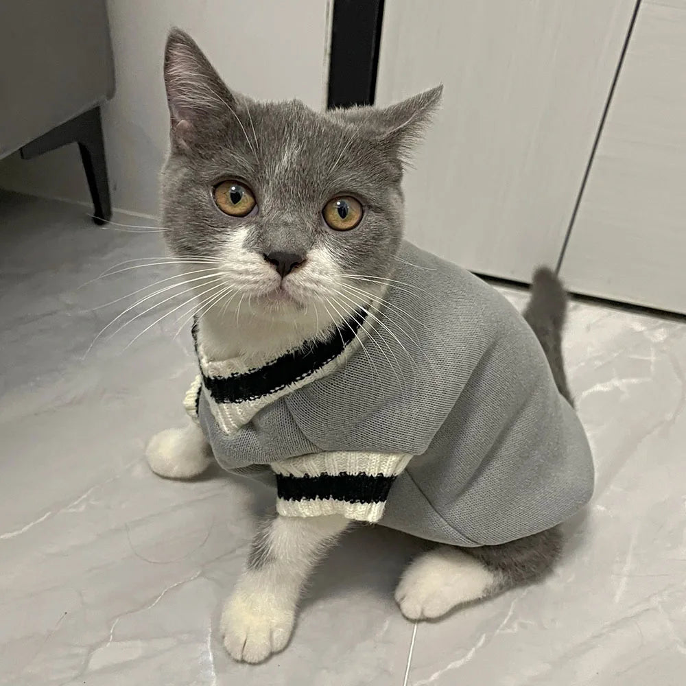 Dog Cat Sweater College Style V-neck Kitten Knitted Vest Shirt Pet Cat Puppy Winter Warm Clothes Knitwear Apparel for Small Dogs